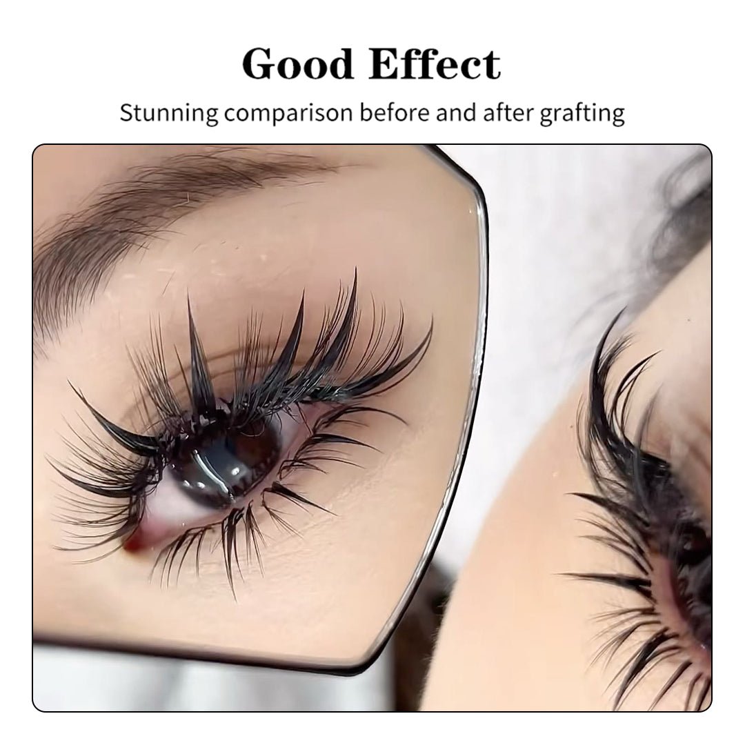 6D Camellia Eyelash Extension - Image 3