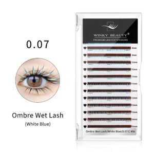 Wet Wispy Spikes Individual False Eyelashes-Ombre White Blue