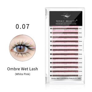 Wet Wispy Spikes Individual False Eyelashes-Ombre White Pink